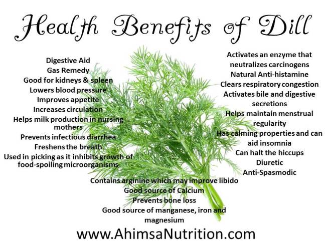 Health-Benefits-of-Dill